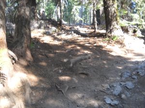 Closer look at the illegal bypass.