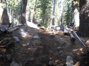 Big logs dragged to along side the trail to be blocked.