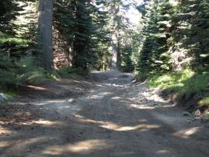 105 Before - Turnout