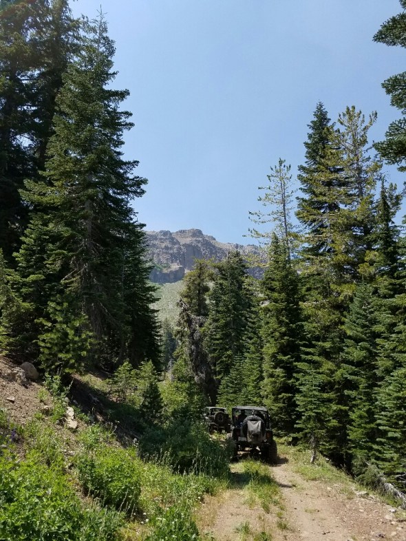 20160730_132320_resized