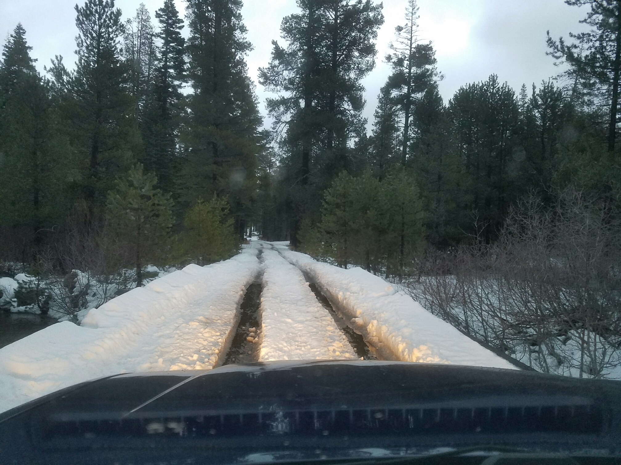 20161209_163733_resized