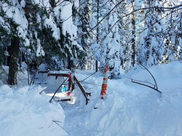 20170126_104945_resized