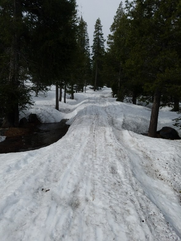 20170426_094028_resized