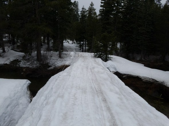 20170426_101018_resized