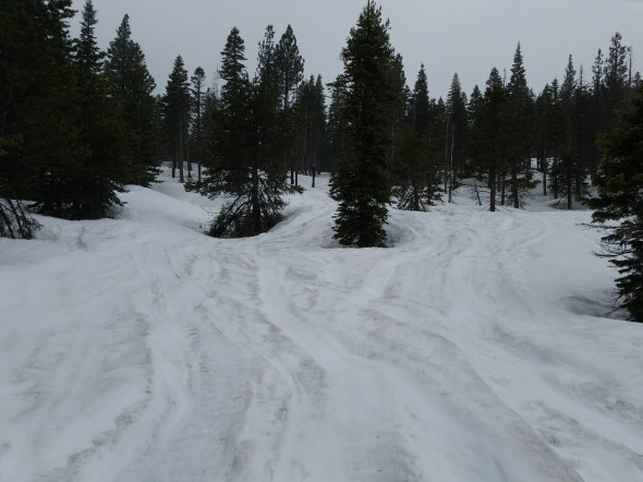 20170426_102037_resized