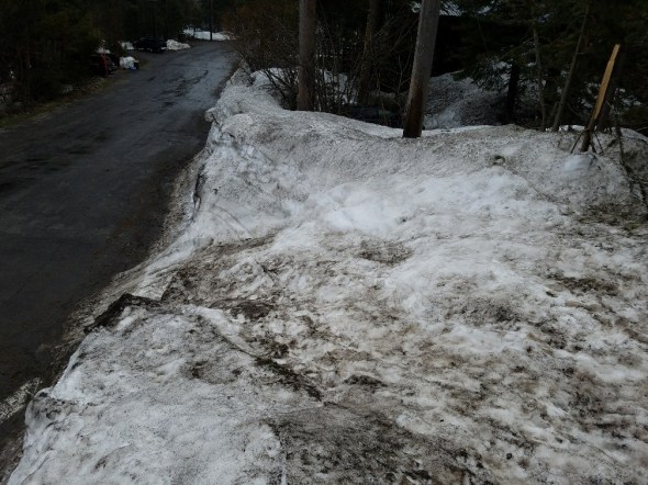 20170426_112229_resized