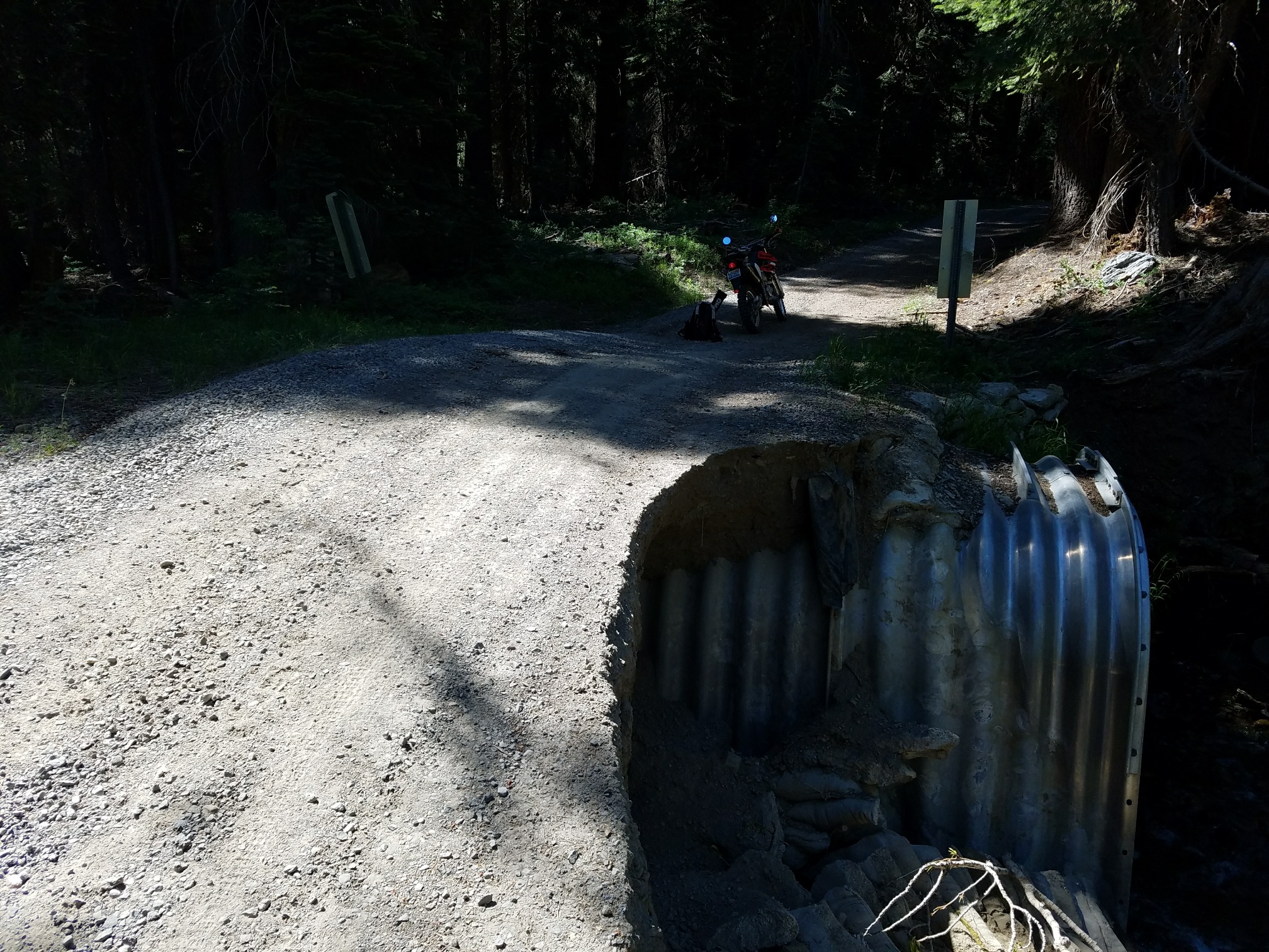 20170720_101634_resized_1