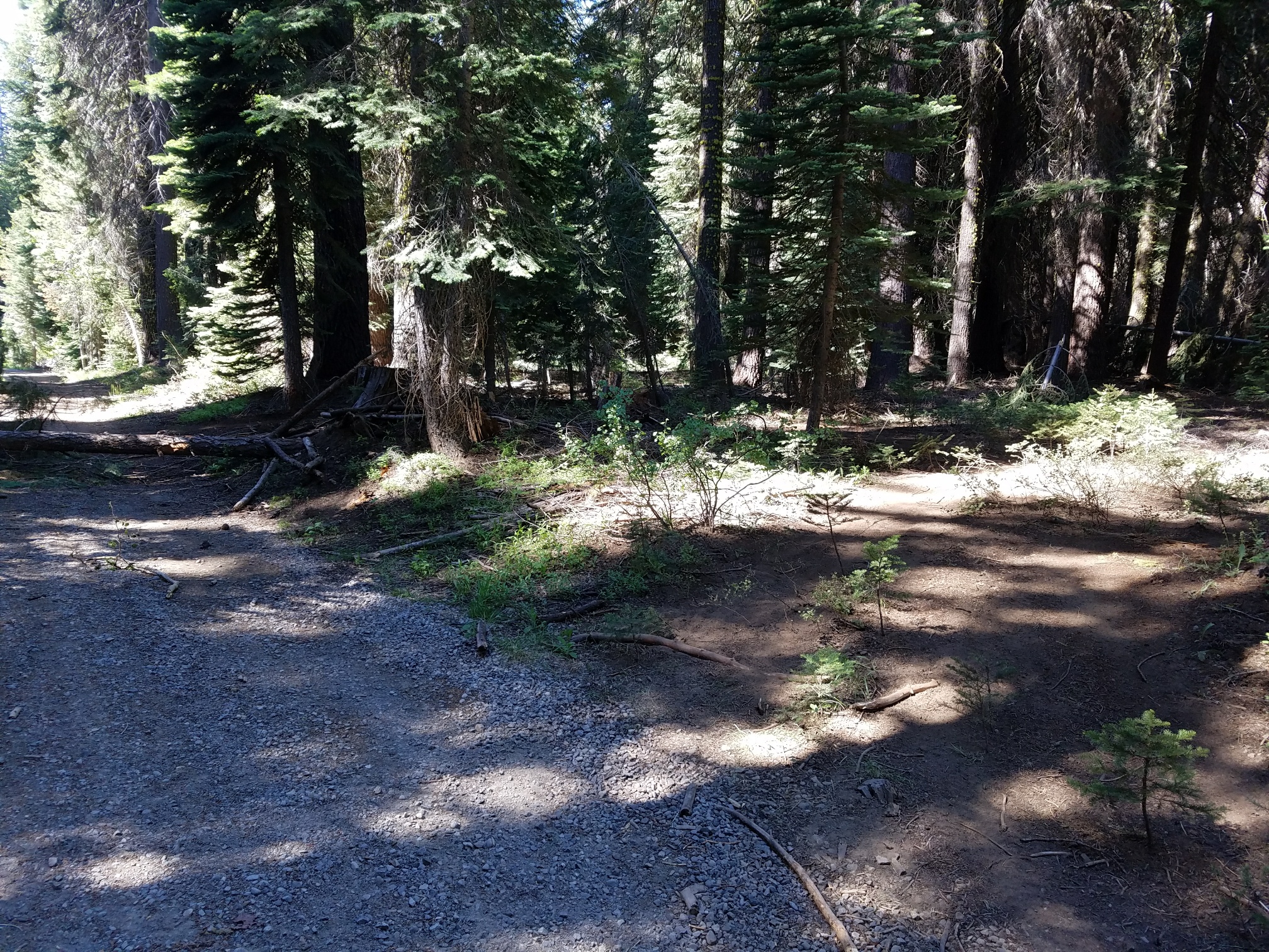 20170720_101833_resized