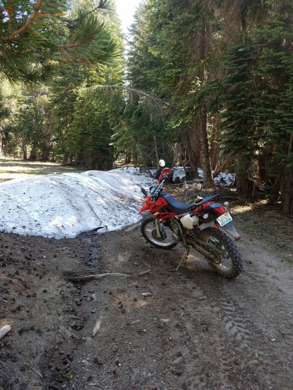 20170720_110653_resized