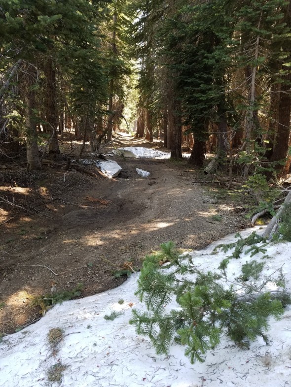 20170720_110726_resized