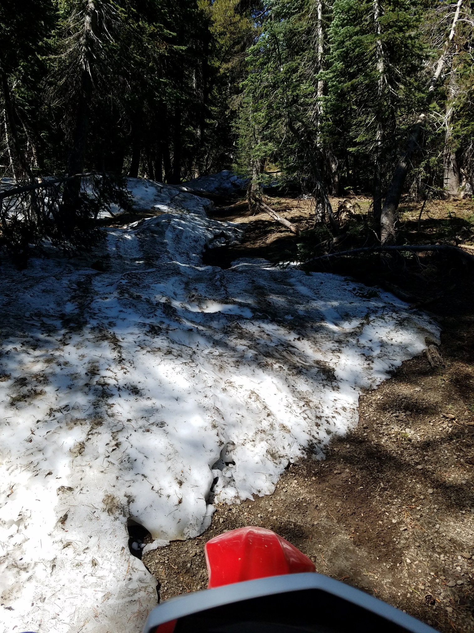 20170720_111004_resized