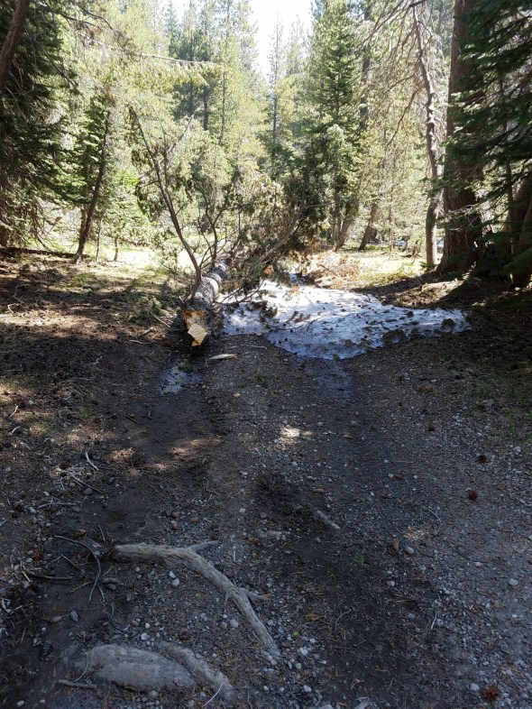 20170720_111118_resized