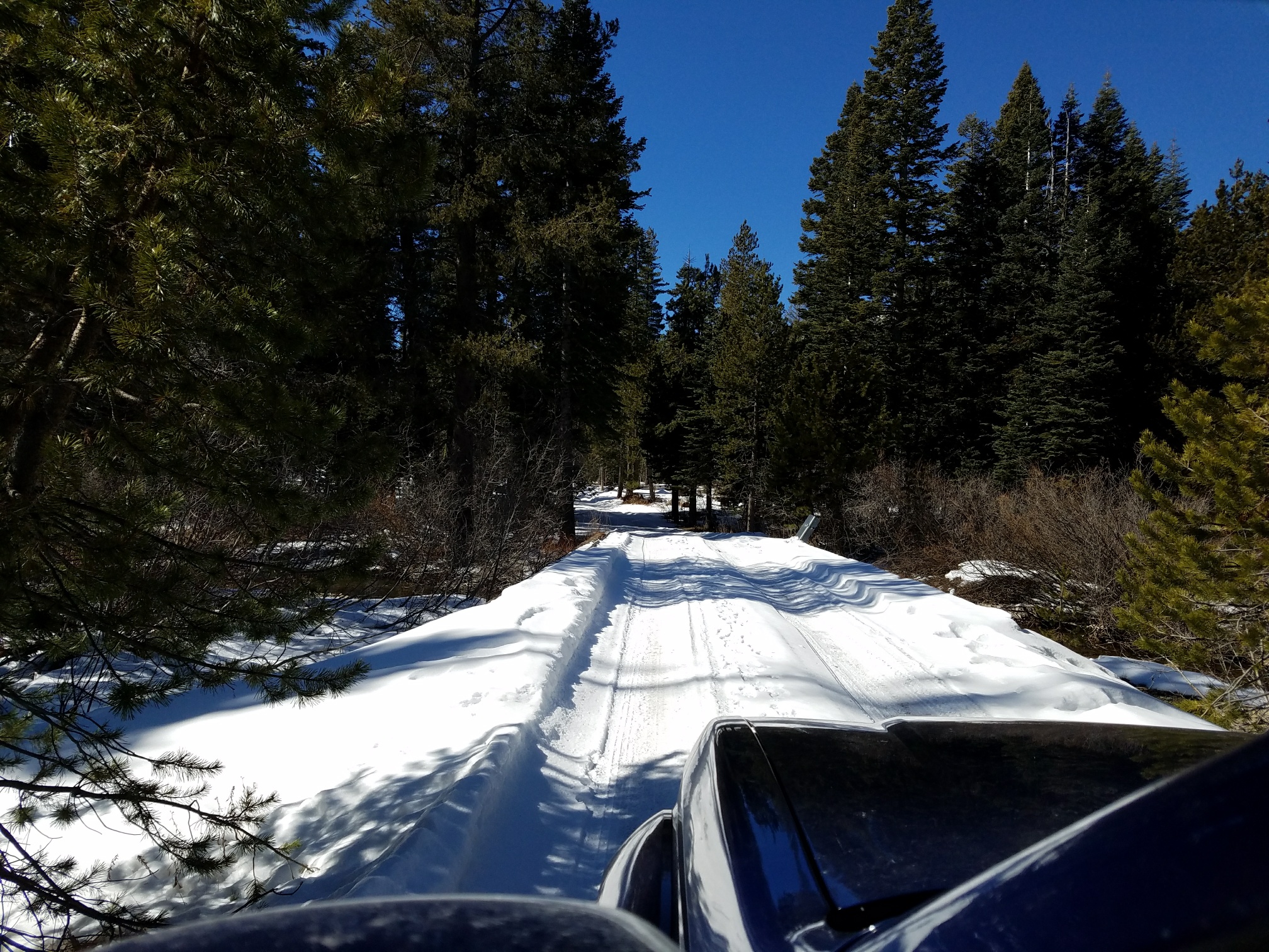 20180215_115027_resized