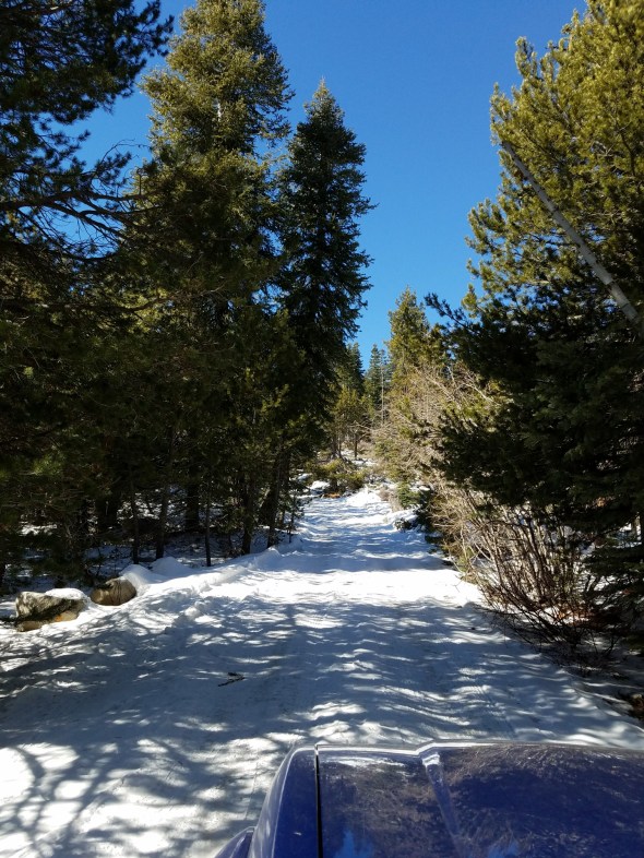 20180215_115229_resized