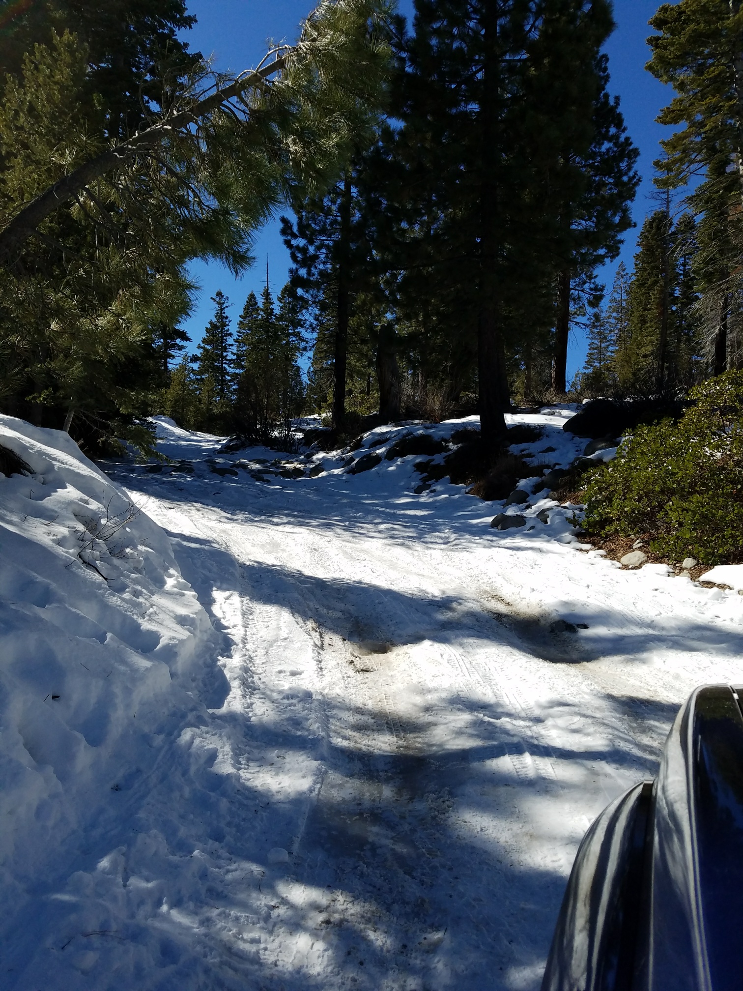 20180215_115404_resized