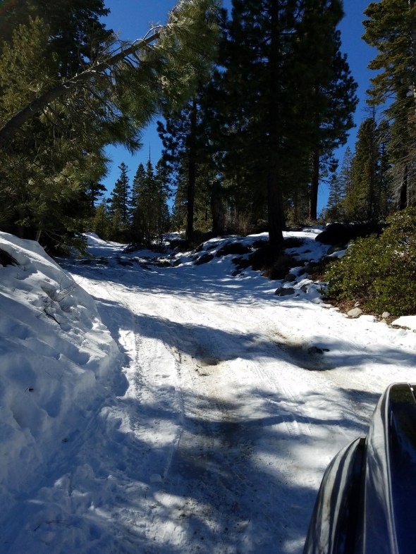 20180215_115404_resized