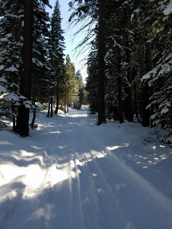 20180227_150757_resized