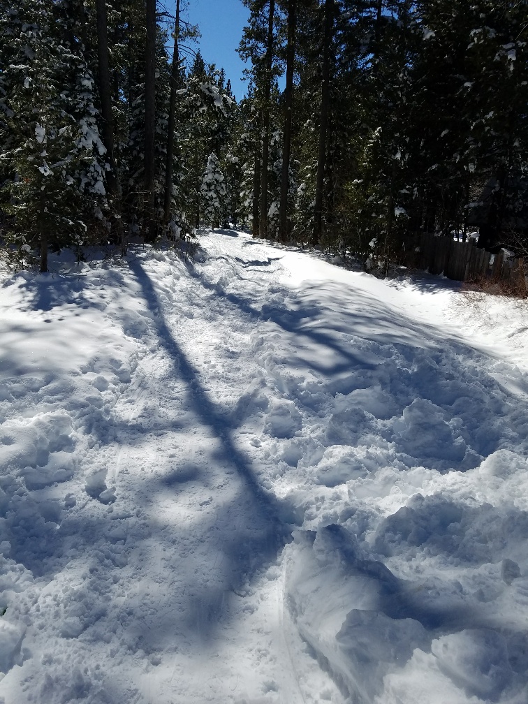 20180305_132817_resized