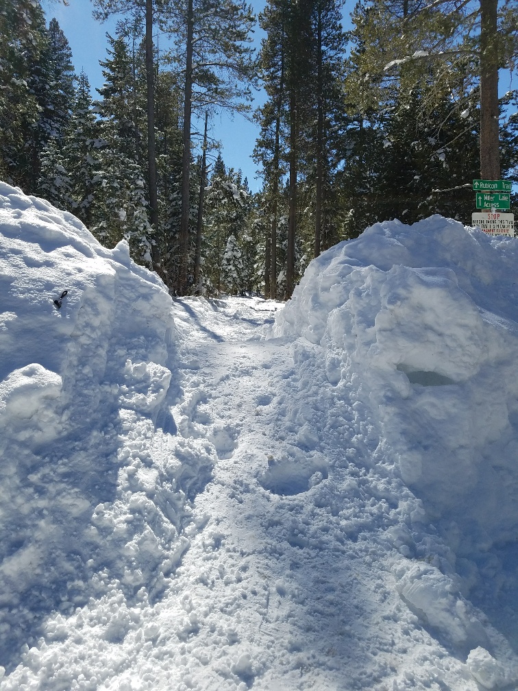 20180305_132845_resized