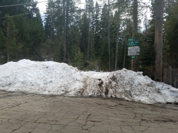 20180404_140433_resized_1