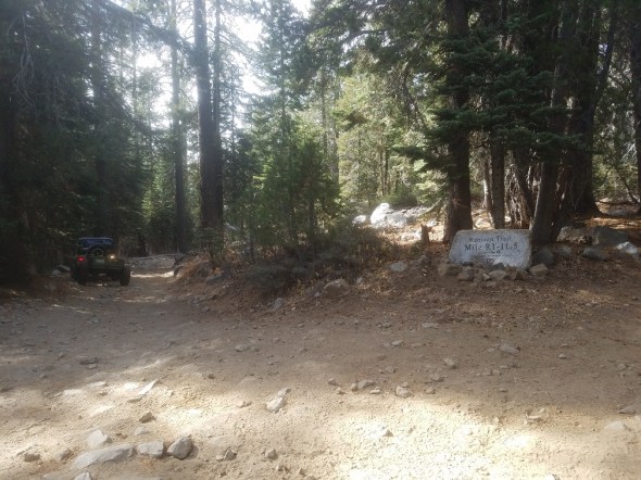 20181103_133122_resized